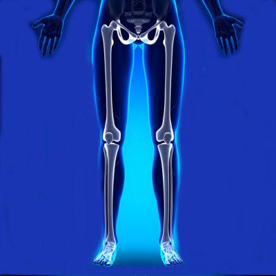 FEMALE_bones_white_00016 copy.jpg