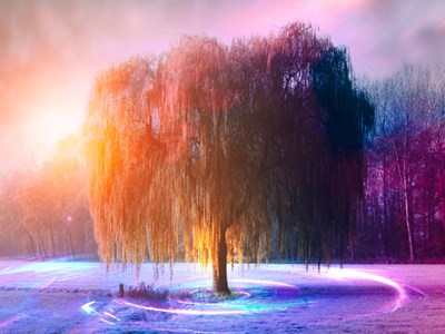 Նարինե Գալստյան