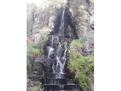 Ծովինար Մանուկյան