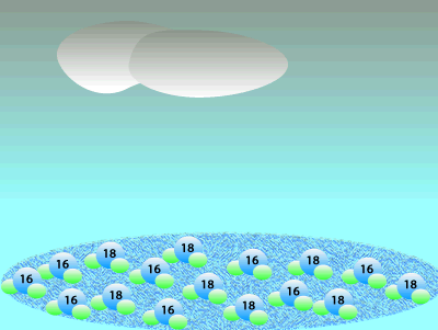 evaporation (1).gif