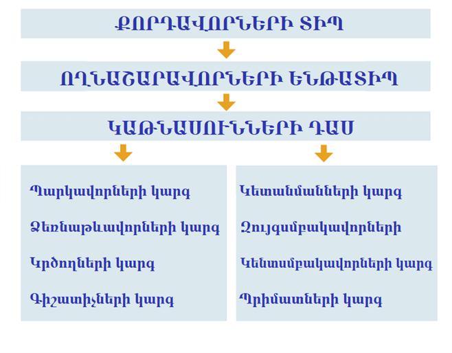 կենսաբանություն-w1174.png
