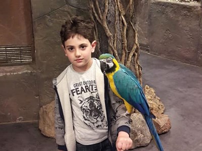 Արեն Սարգսյան