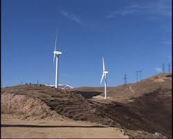 Без названия.jpg