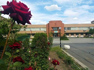 Երևանի Արմեն Հովհաննիսյանի անվան թիվ 194 դպրոց