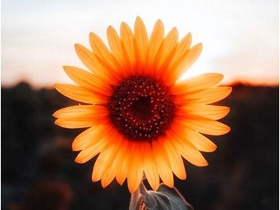 Հասմիկ Գևորգյան