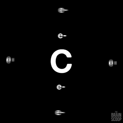 giphy (12).gif