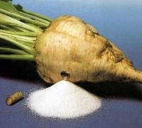 շաքարի ճակնդեղ.jpg