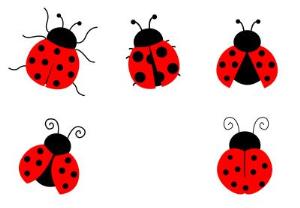 shutterstock_329307776 - Copy - Copy.jpg