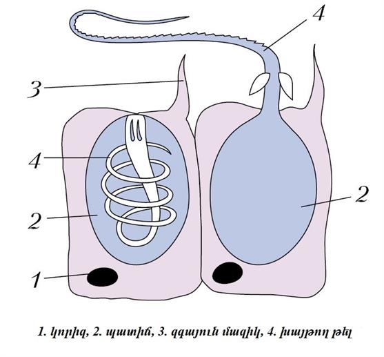 autogen_235645.jpg