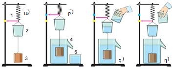 скачанные файлы (16).jpg
