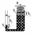 images (12) - Copy.png