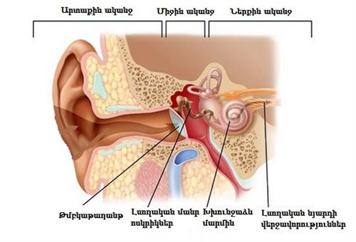 genika aftiou_2_down.jpg