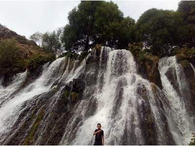 Նարեկ Պետրոսյան