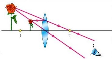 7bc365deb68660a6e7e4e55709182eb2 - Copy (2).jpg