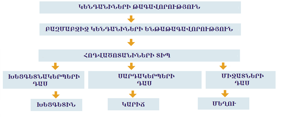 կենսաբանություն-w1174.png