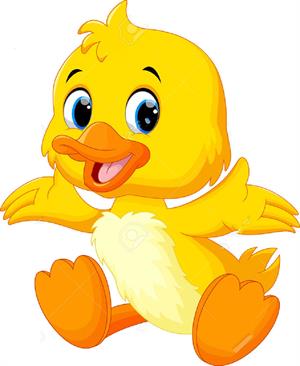 51794281-Cute-baby-duck-lifted-its-wings-Stock-Photo.jpg