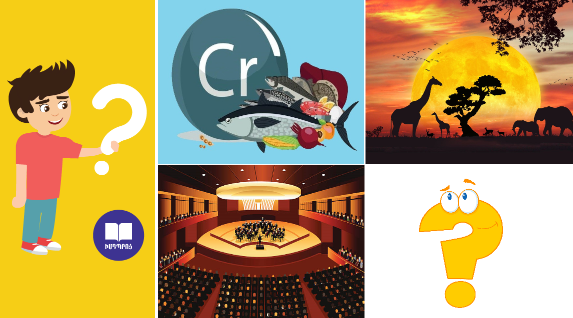 Դասամիջոցի խնդիր.png