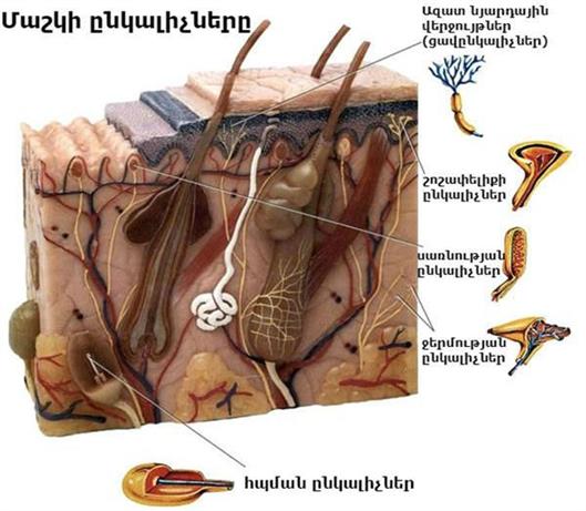 21-06-2017 09-16-12-w600-w600.jpg