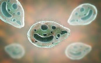 107619958-balantidium-coli-protozoan-3d-illustration-ciliated-intestinal-parasite-that-causes-balantidiasis.jpg