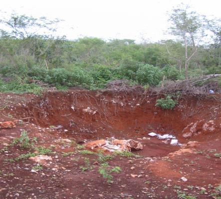 Feralitayin ground.jpg