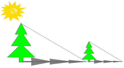 slide_5.png