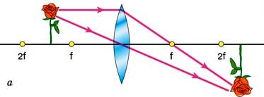 7bc365deb68660a6e7e4e55709182eb2 - Copy.jpg