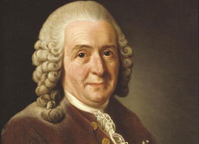 Grandes-cientificos-Carlos-Linneo.jpg