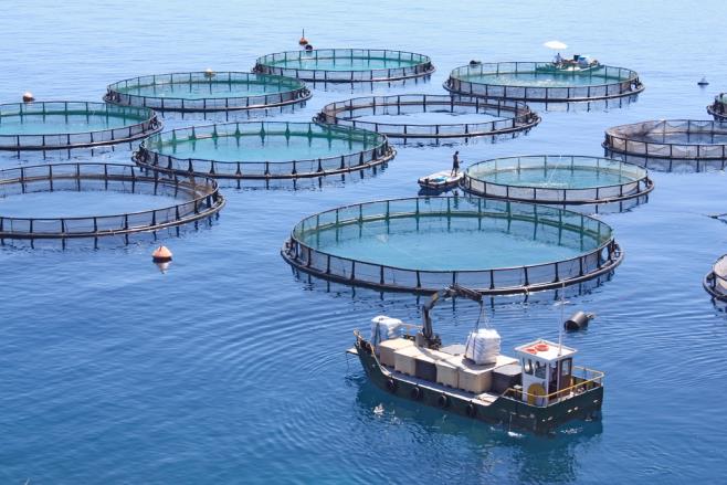aquaculture.jpg