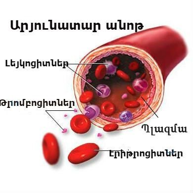 առըւն.jpg