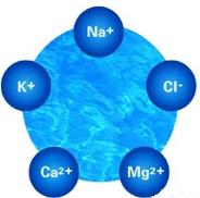 electrolytes.jpg