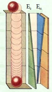 images (46) - Copy.jpg