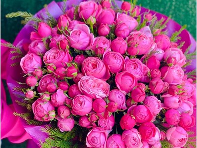 Alisa Sargsyan-Chalabyan