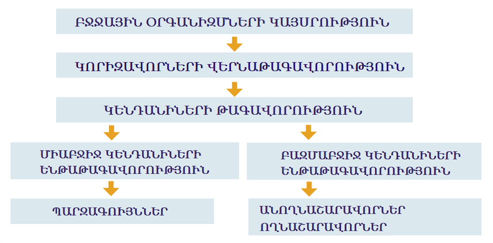 կենսաբանություն-w1044.png