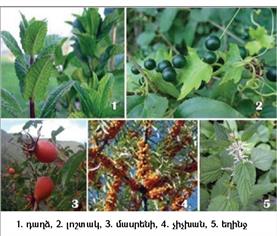 Безымянный 1.jpg