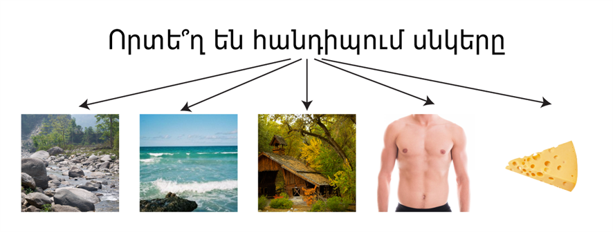 654.png