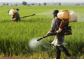 spraying-pesticides-on-field.jpg
