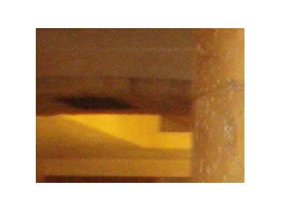 Մարինե Եպիսկոպոսյան