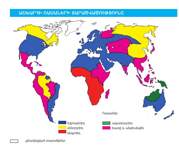 Աշխարհի բնակչության ռասայական կազմը.jpg