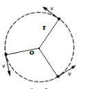 images (29)2 - Copy.png