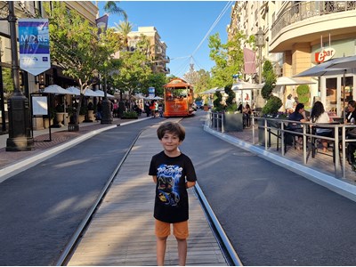 Վարդան Մանուկյան