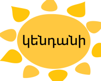 11.png