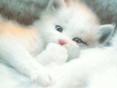 Էմմի Գրիգորյան