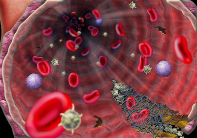 Jenis Vitamin , sumber, dan manfaatnya 1.jpg