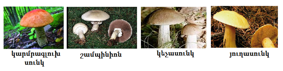 Նկար22.png