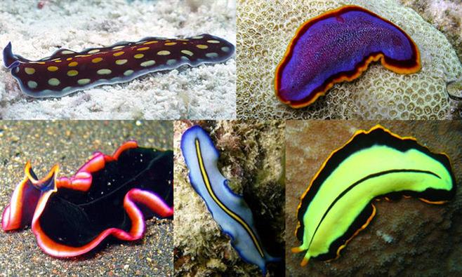 3b8511440e2c5d6f1030c0e6e004e51b (1).jpg