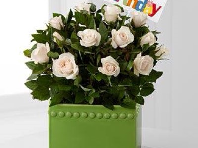 Լաուրա Սոլոմոնյան