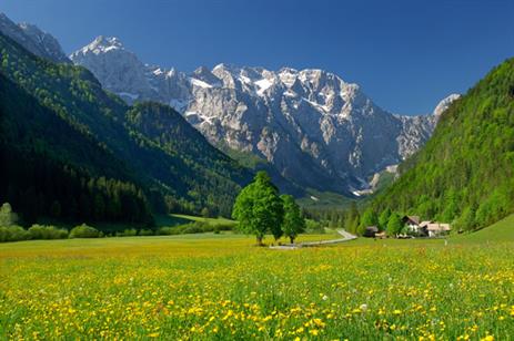 logarska-dolina.jpg