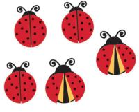 140810065930_ladybug transform 10x5cm_zoom.jpg