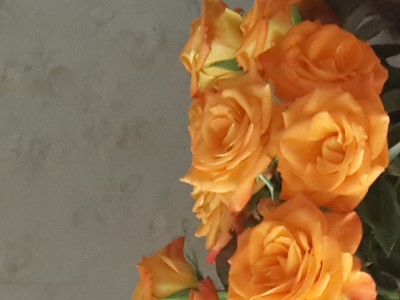 Լուսինե Թորգոմյան