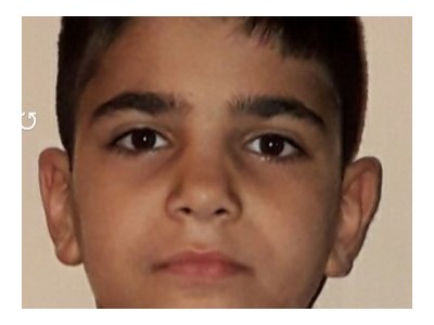 Հայկ Մամրեյան